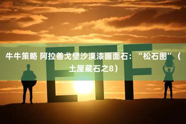 牛牛策略 阿拉善戈壁沙漠漆画面石：“松石图”（土屋藏石之8）