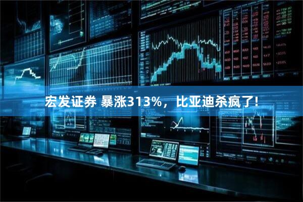 宏发证券 暴涨313%，比亚迪杀疯了!